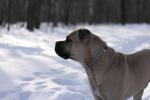 img_7447.jpg img_7447.jpg