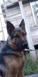 izobrazhenie_viber_2019-10-17_08-18-28.jpg izobrazhenie_viber_2019-10-17_08-18-28.jpg