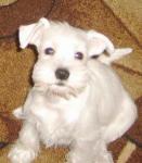 kopiya_3_tina.jpg kopiya_3_tina.jpg