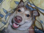 sam_0312.jpg sam_0312.jpg