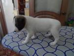 sam_1467.jpg sam_1467.jpg