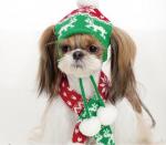 top-quality-dog-christmas-hat-dog-scarf-cap-best-xmas-gift-for-ur-dogs-220333.jpeg top-quality-dog-christmas-hat-dog-scarf-cap-best-xmas-gift-for-ur-dogs-220333.jpeg