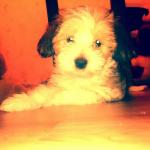 помогите понять кто я?(((