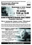 26 ноября VIII выставка бездомных животных в Вологде