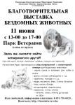 11 июня V выставка бездомных животных в Вологде