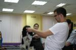 Выставочный груминг пуделя - мастер класс Р. Фомина