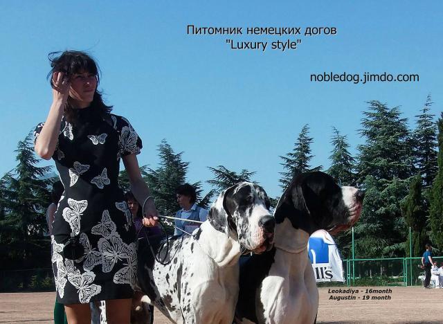 Augustin Iz Juzhnogo Siyaniya 19m & Leokadiya Iz Juzhnogo Siyaniya