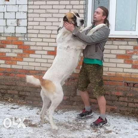 играем с папой