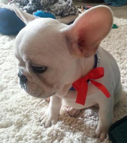 Baby Boy)