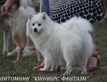 ЮНИВЕРС ФАНТАЗМ ХИКЭРИ