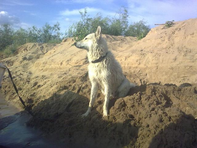 Летом, на пляже