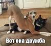 Аватар пользователя masyxa