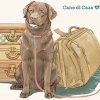 Аватар пользователя Cane di Casa